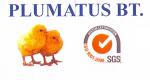 Plumatus Bt.